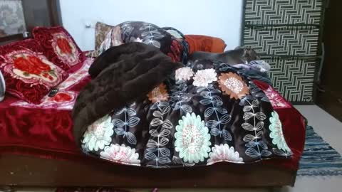 Snapshot of we_are_indian chatting on December 23, 2024, 12:08 pm khushiwife kabirhubby kavyasexy gf online show from December 23, 2024, 12:08 pm