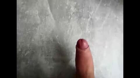 Weilpasst online show from November 19, 2025, 2:06 pm