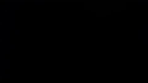 wellingtont online show from September 28, 2025, 2:06 am