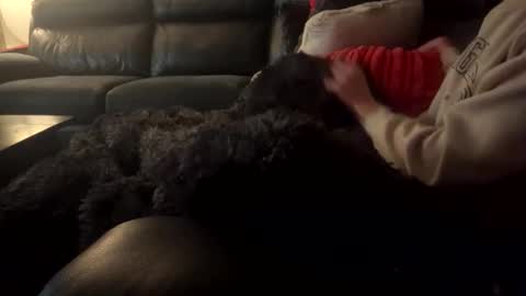 Snapshot of wellocal chatting on December 21, 2025, 8:05 pm wellocal online show from December 21, 2025, 8:05 pm