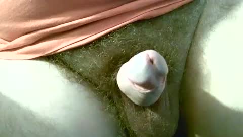 Snapshot of welshstuds chatting on September 30, 2025, 11:59 am welshstuds online show from September 30, 2025, 11:59 am