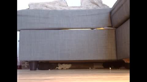 Snapshot of wet_pants2022 chatting on February 27, 2025, 4:43 pm wet_pants2022 online show from February 27, 2025, 4:43 pm
