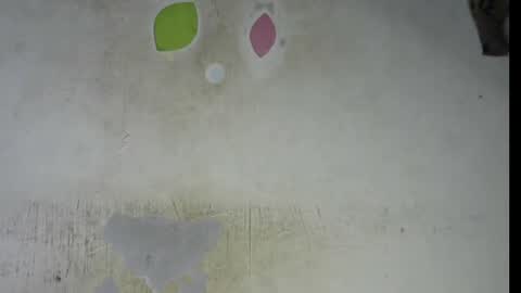 Bella online show from February 6, 2026, 9:29 pm