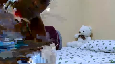 wetberry20 online show from June 3, 2026, 6:35 pm