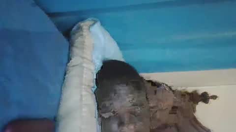 Snapshot of wetcock44 chatting on December 3, 2024, 3:41 am wetcock44 online show from December 3, 2024, 3:41 am