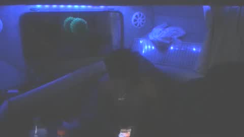 Snapshot of wetdreamsz101 chatting on January 19, 2026, 8:51 am wetdreamz101 online show from January 19, 2026, 8:51 am