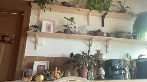 WhiskyLove online show from November 4, 2025, 4:50 pm