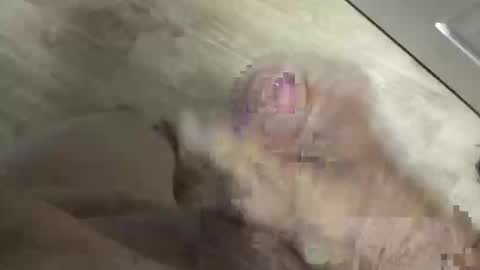 Snapshot of whitelava_4u chatting on May 30, 2026, 3:53 pm whitelava_4u online show from May 30, 2026, 3:53 pm