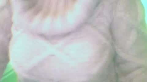 whitesweater online show from March 10, 2025, 7:32 am