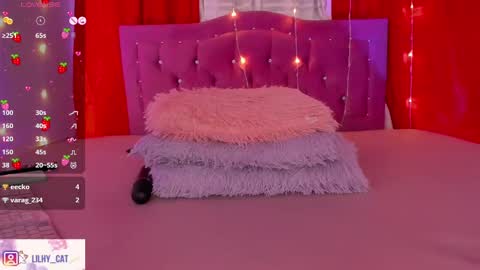 Snapshot of wild_lilhy chatting on February 14, 2025, 11:09 pm Lily online show from February 14, 2025, 11:09 pm