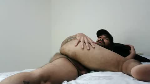 Snapshot of wilder_grey chatting on January 26, 2025, 2:14 am Wilder Grey online show from January 26, 2025, 2:14 am