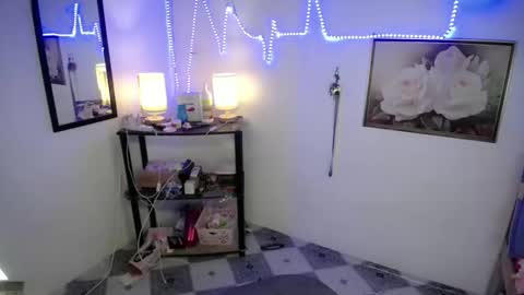 Snapshot of wildflowermitch chatting on November 27, 2025, 6:54 pm Mitch online show from November 27, 2025, 6:54 pm