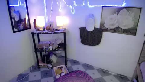 Snapshot of wildflowermitch chatting on December 14, 2025, 7:07 pm Mitch online show from December 14, 2025, 7:07 pm