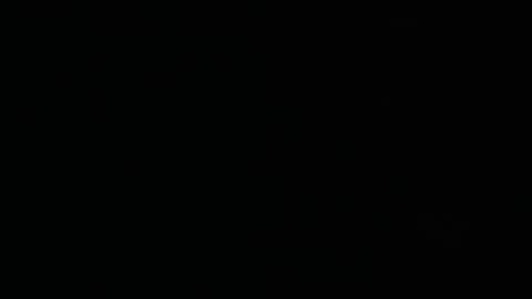 Snapshot of wildkittytrans chatting on February 23, 2025, 7:49 pm CHRISTINE online show from February 23, 2025, 7:49 pm