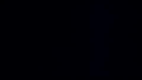 wildman3845 online show from December 22, 2024, 12:27 pm