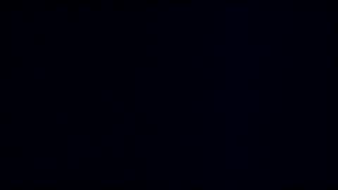 wildman3845 online show from January 4, 2025, 12:38 pm