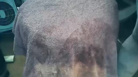 wildman6 online show from March 26, 2026, 7:19 pm