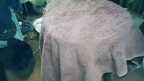 wildman6 online show from March 28, 2026, 9:58 pm