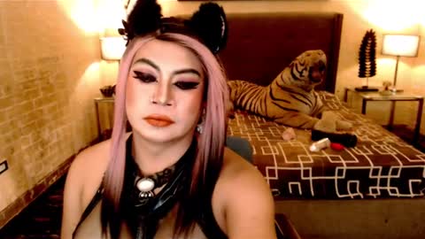 wildtransjhade online show from January 16, 2025, 12:53 pm