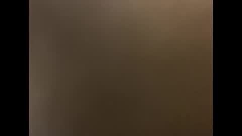 Snapshot of willirob chatting on February 8, 2025, 10:08 pm William online show from February 8, 2025, 10:08 pm