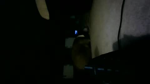 Snapshot of willnedoher chatting on October 15, 2025, 12:27 pm Willhedoher online show from October 15, 2025, 12:27 pm