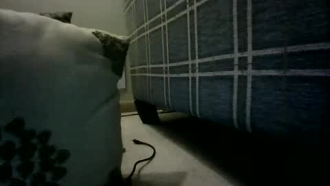 Snapshot of willnedoher chatting on March 4, 2026, 12:33 pm Willhedoher online show from March 4, 2026, 12:33 pm