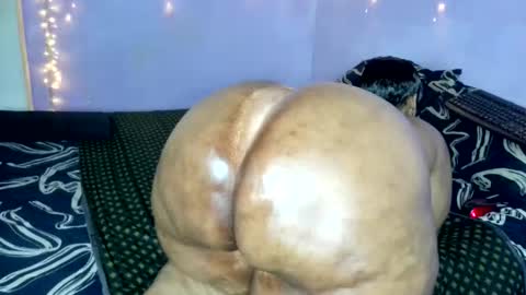 wilmaassylum online show from November 20, 2025, 5:51 am