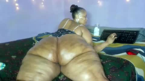 wilmaassylum online show from December 20, 2025, 5:25 am