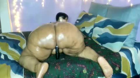 wilmaassylum online show from January 17, 2026, 5:34 am