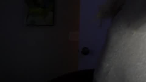 Snapshot of wishgoddes chatting on November 12, 2025, 8:52 pm WishGoddes online show from November 12, 2025, 8:52 pm