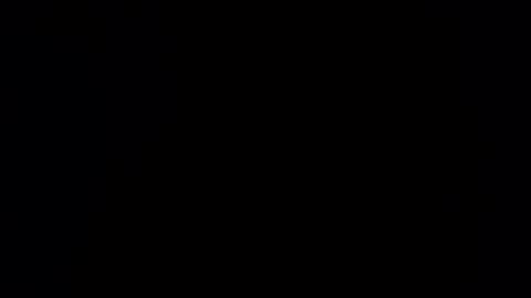 wishwood2323x online show from April 23, 2026, 5:59 pm