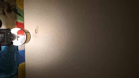 Snapshot of wizardmike421 chatting on November 19, 2025, 3:06 am wizardmike421 online show from November 19, 2025, 3:06 am