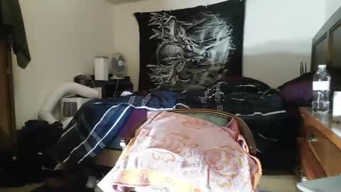 wolfman79 online show from February 12, 2025, 11:07 am