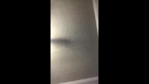 Woodpipe69 online show from December 23, 2024, 3:01 pm