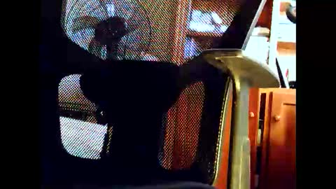 woodyforyou2 online show from January 19, 2026, 12:47 am