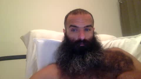 woof_wolf37 online show from February 28, 2026, 5:41 am