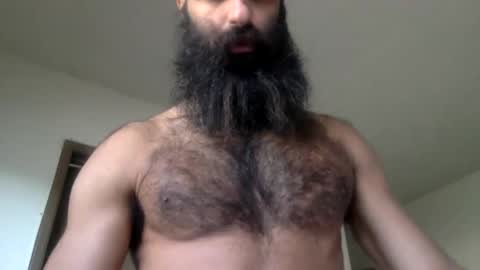 woof_wolf37 online show from April 15, 2026, 3:52 pm