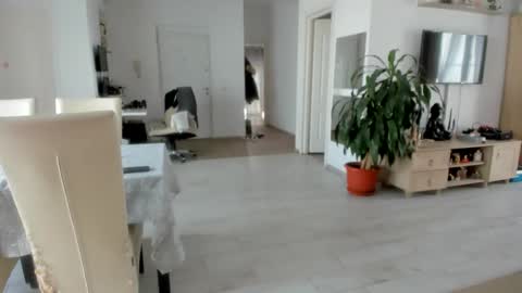 Wolfie online show from November 25, 2025, 8:47 am