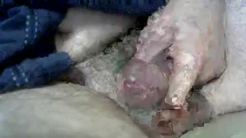 Charles online show from March 11, 2025, 6:53 am