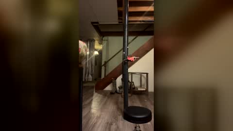 Snapshot of wyattmcc32288 chatting on March 2, 2026, 8:10 am wyattmcc32288 online show from March 2, 2026, 8:10 am