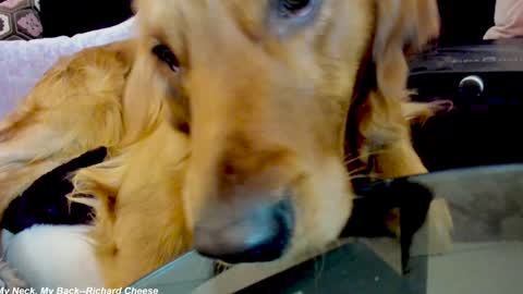 Lily online show from January 15, 2025, 2:38 am