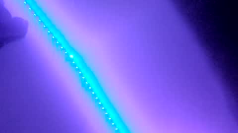 BabyGirl online show from December 30, 2024, 9:27 am