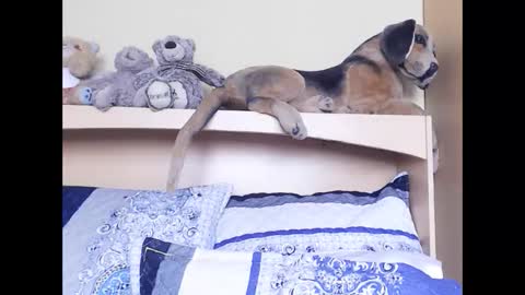 Miss Ria online show from February 6, 2026, 11:24 am