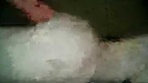 Snapshot of xlecram chatting on March 5, 2025, 9:59 pm Wendy online show from March 5, 2025, 9:59 pm