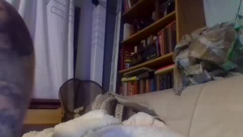 Snapshot of xlpack69 chatting on December 17, 2024, 11:16 pm John online show from December 17, 2024, 11:16 pm