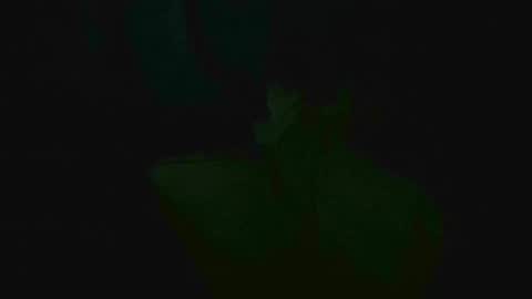 xposed_edger online show from March 2, 2025, 5:33 am