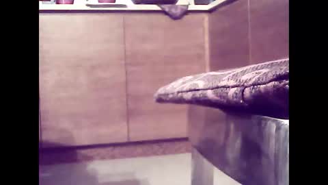 Snapshot of xsoul72 chatting on February 26, 2025, 4:56 pm xsoul72 online show from February 26, 2025, 4:56 pm