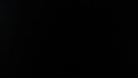 wuulmarpoltieer online show from December 5, 2024, 11:07 pm