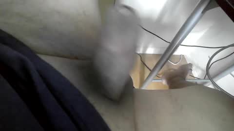 xxenryxx92 online show from June 15, 2026, 4:20 pm