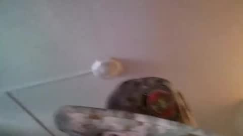 Snapshot of yahushuaha chatting on September 9, 2025, 7:13 pm yahushuaha online show from September 9, 2025, 7:13 pm